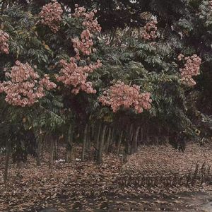 波多野结衣94分钟无码
